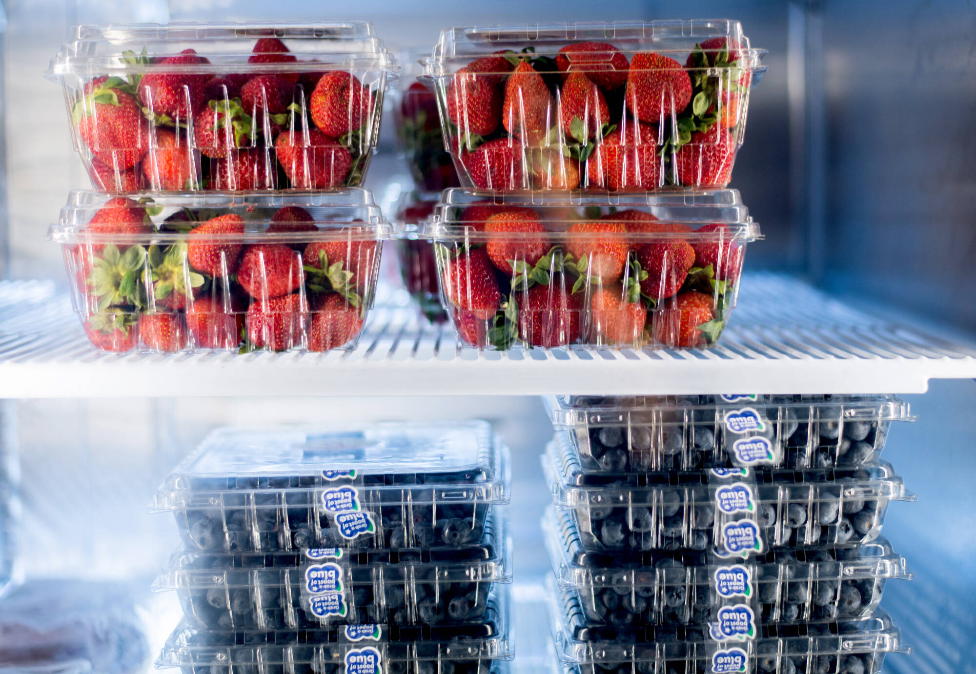 Packages of berries in a fridge